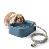 Load image into Gallery viewer, A Holland Lop rabbit drinking fresh water from a blue automatic self-filling water bowl connected to a stainless steel supply hose against a white background.